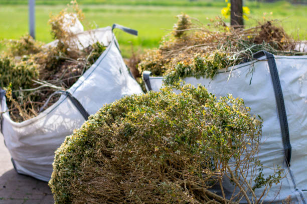 Best Local Junk Hauling  in Three Forks, MT